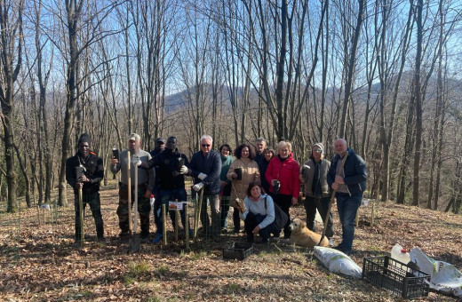 Riforestazione a Premaor di Miane